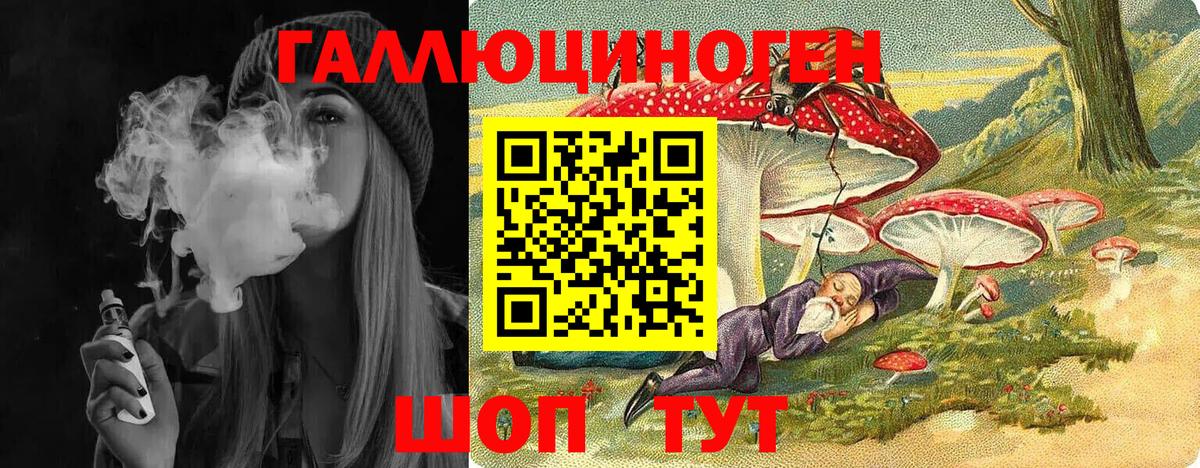 Грозный  Галлюциногенные грибы GOLDEN TEACHER  Вход с VPN 
