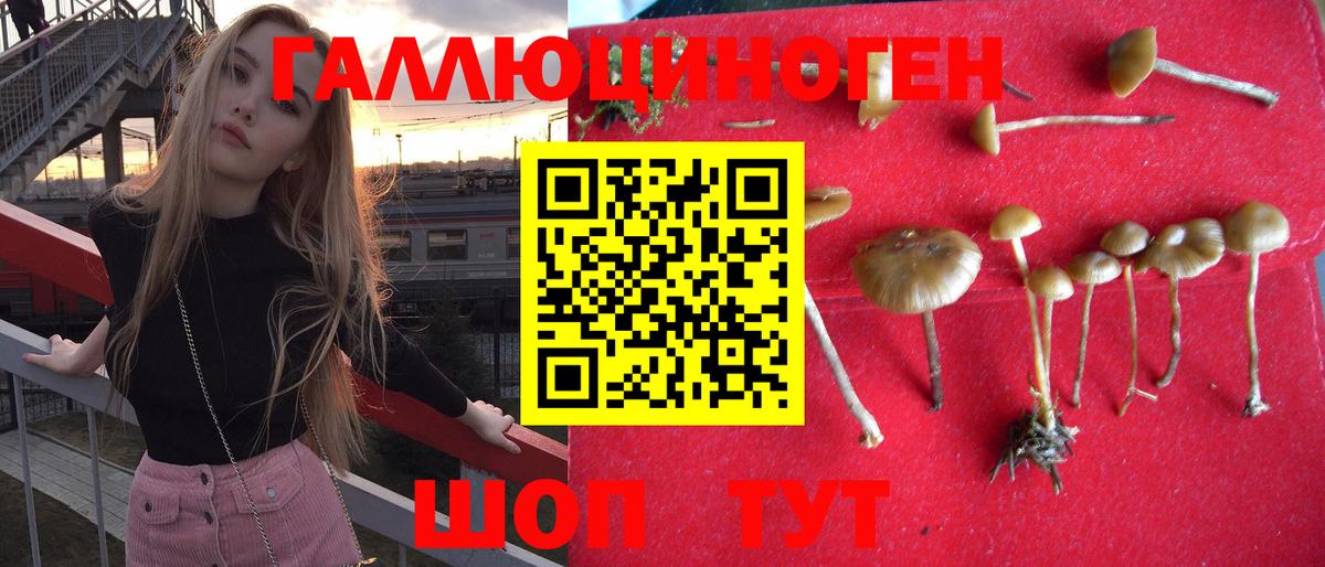 Псилоцибиновые грибы Magic Shrooms Грозный