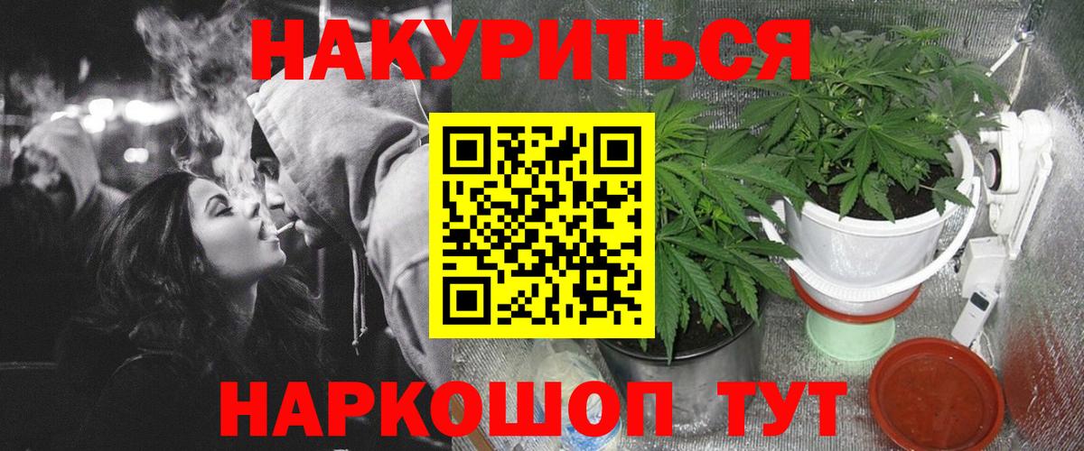 Канабис гибрид Грозный