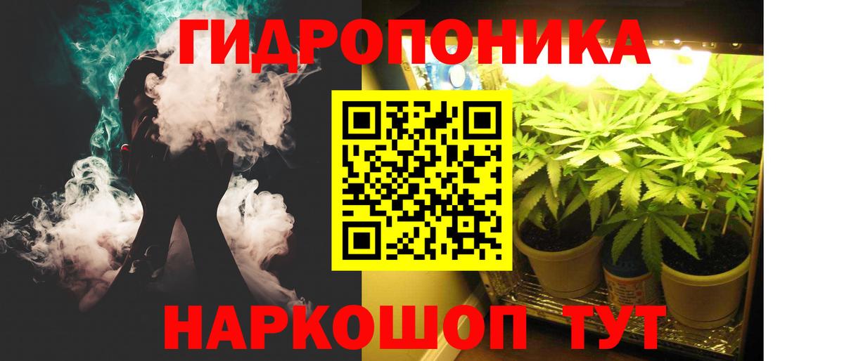 Конопля VHQ  МАРИХУАНА VHQ  Вход с VPN  Грозный  Конопля планчик 